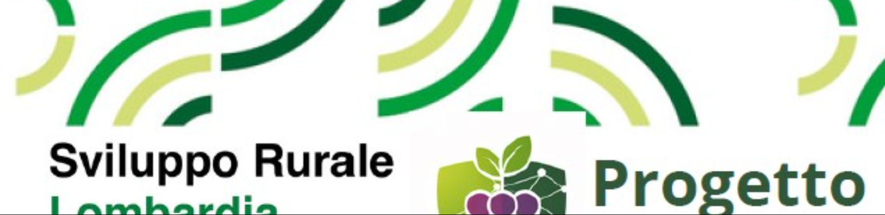 Progetto VITIRES - Visita al campo di confronto varietale di Grosio: Immagine Header