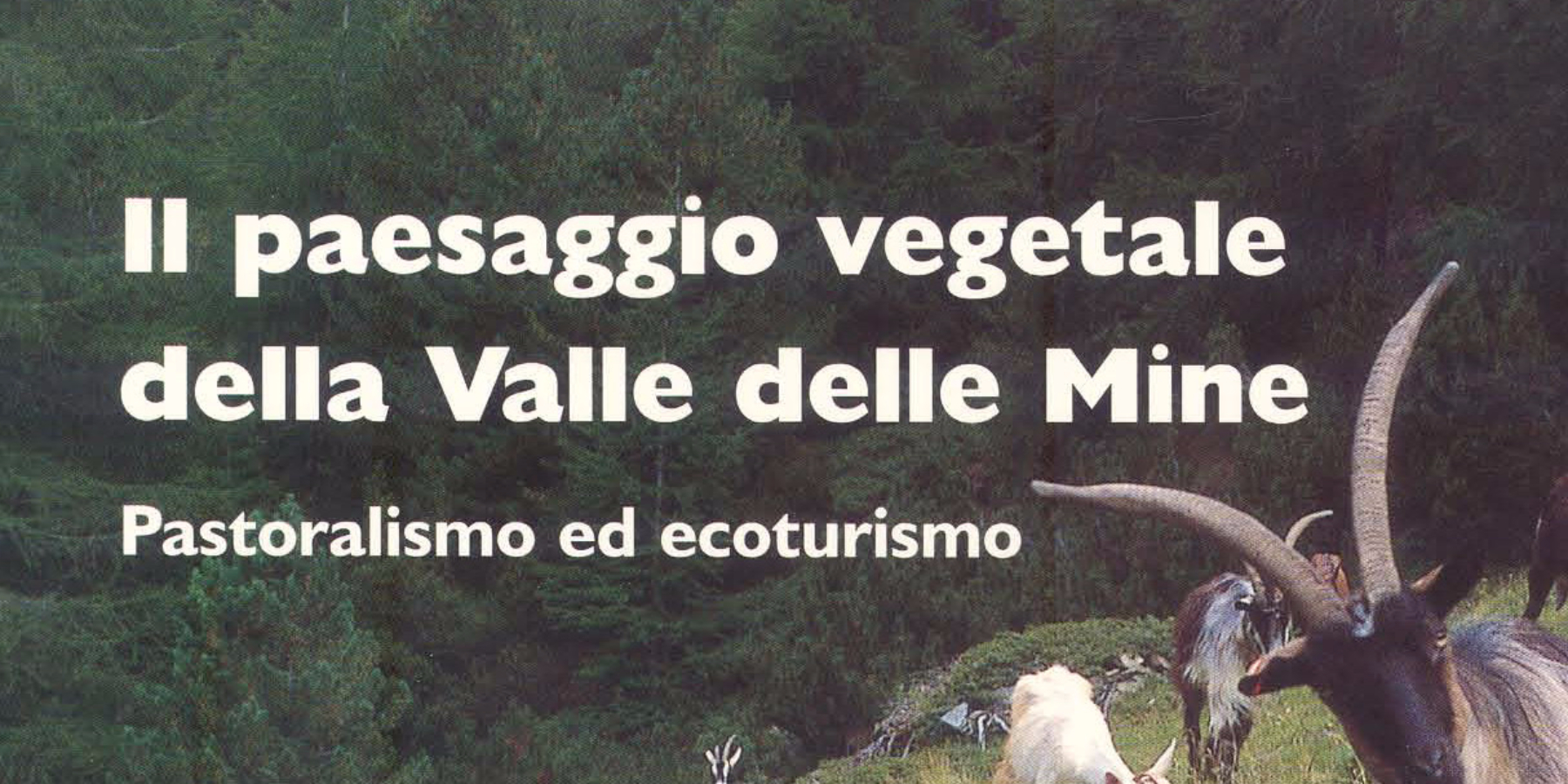 Il paesaggio vegetale della valle delle Mine: Immagine Header