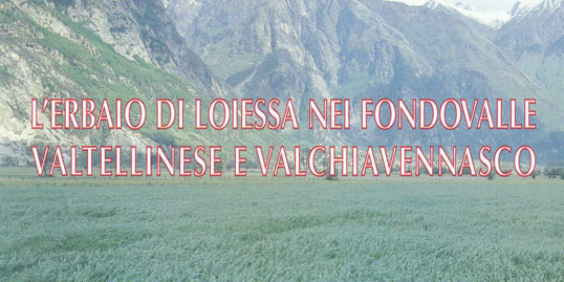 L'erbaio di loiessa nei fondovalle valtellinese e valchiavennasco: Immagine Header