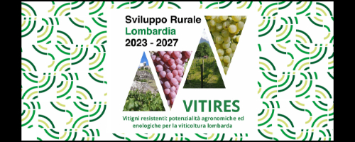 VITIRES:  Testo alternativo