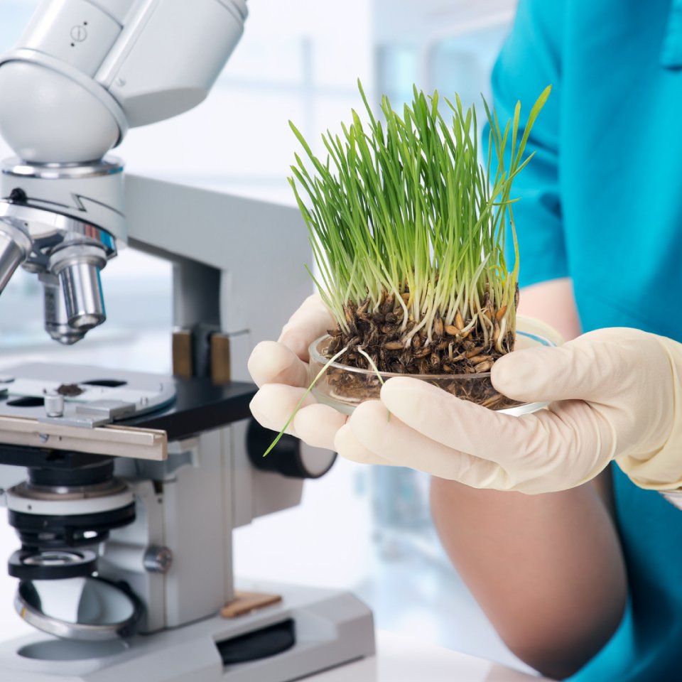 Laboratorio Analisi del Suolo della Fondazione Fojanini