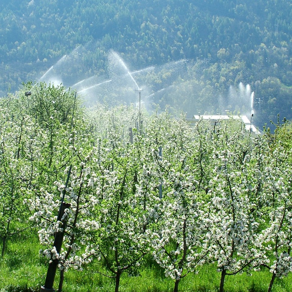 Servizo Analisi suolo e bilancio idrico Fondazione Fojanini - Irrigazione